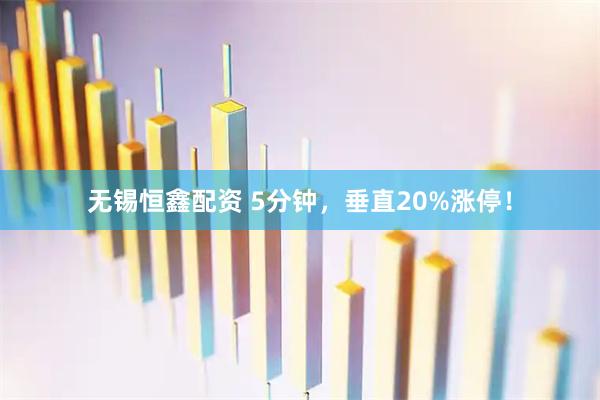 无锡恒鑫配资 5分钟，垂直20%涨停！