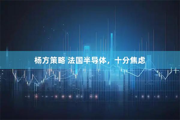 杨方策略 法国半导体，十分焦虑